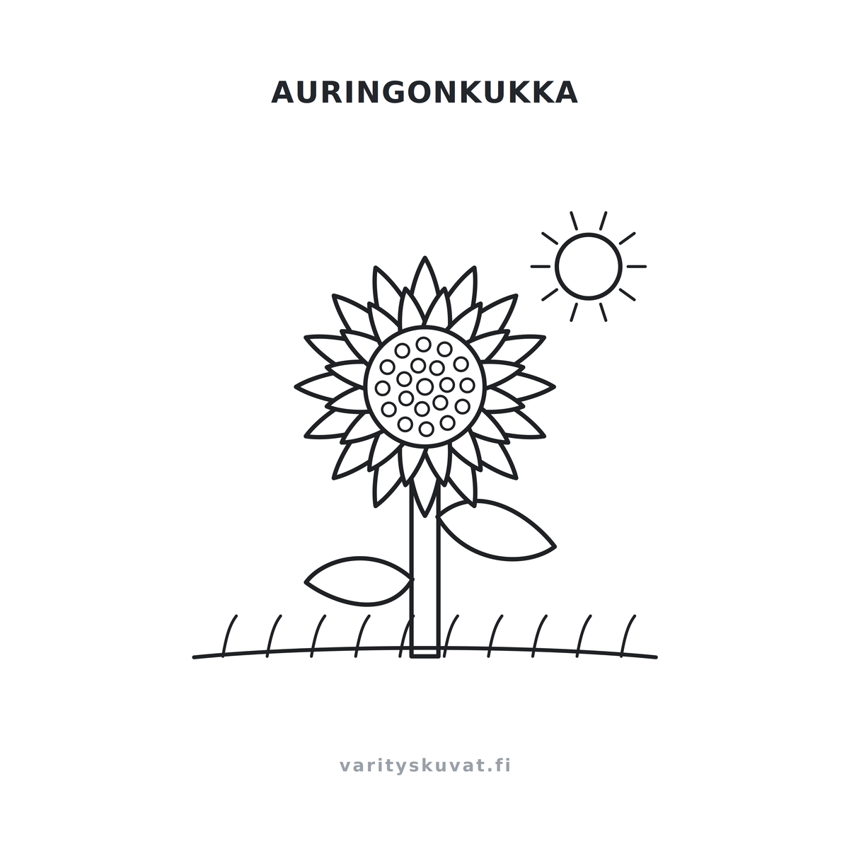 Auringonkukka värityskuva tulostettavaksi