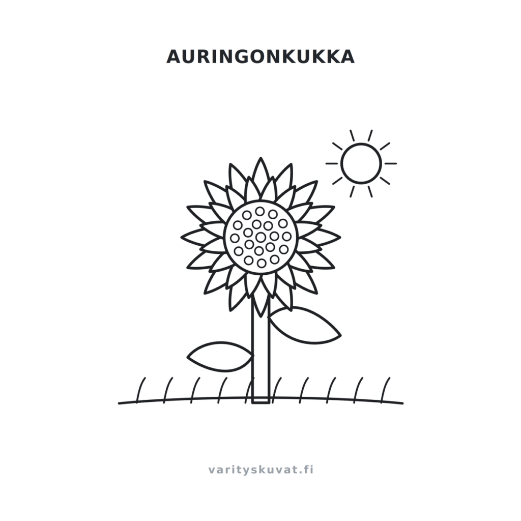 Auringonkukka ja aurinko värityskuva lapsille