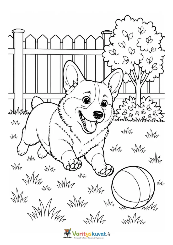 Corgi leikkimässä pallolla puutarhassa värityskuva