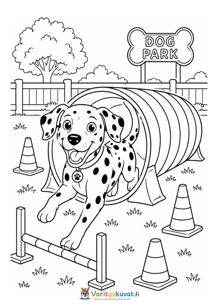 Dalmatialainen agilityradalla värityskuva