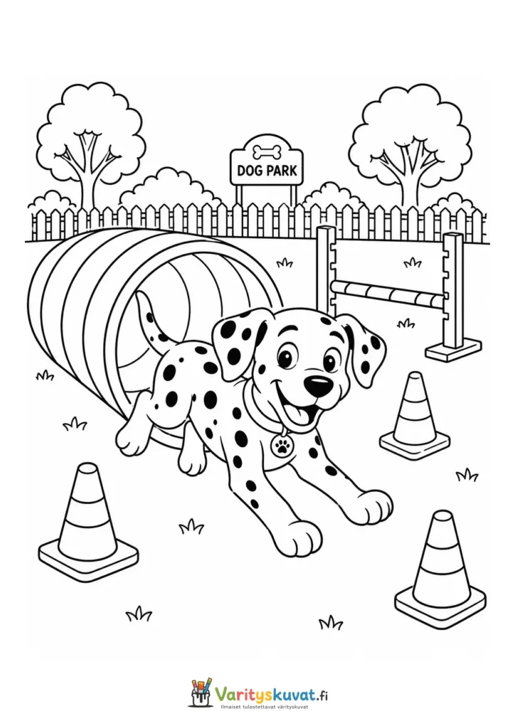 Dalmatialainen juoksemassa agilitytunnelista värityskuva